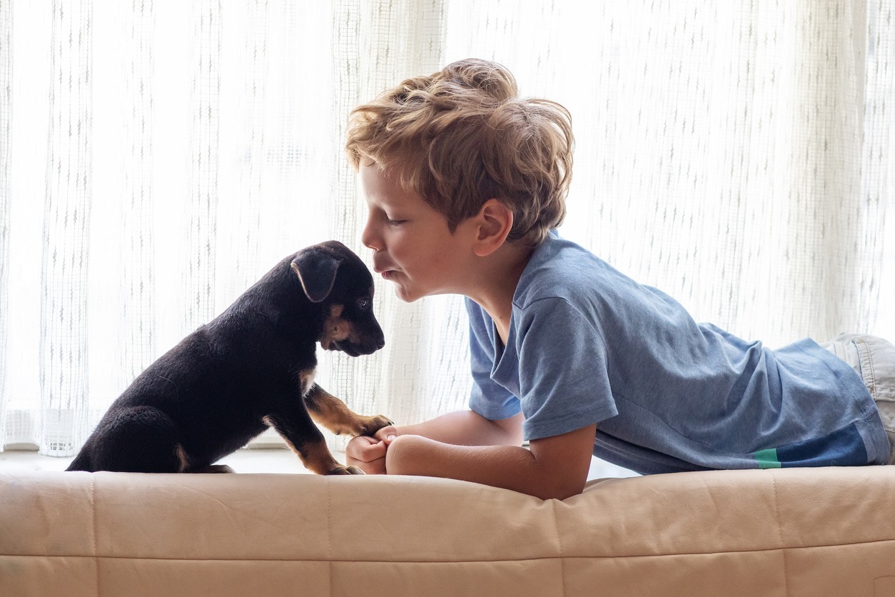 A boy with a little dog playing at home