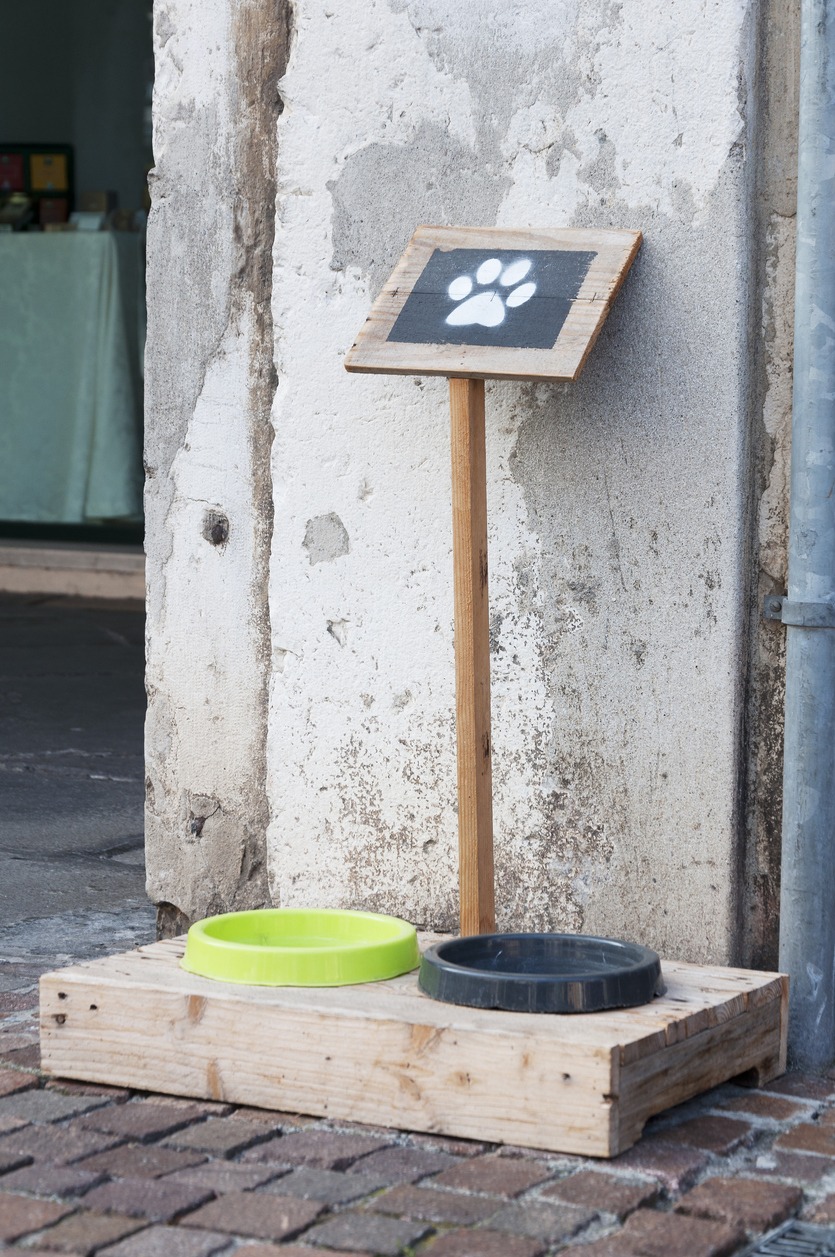 Bowls with food and water for the dogs