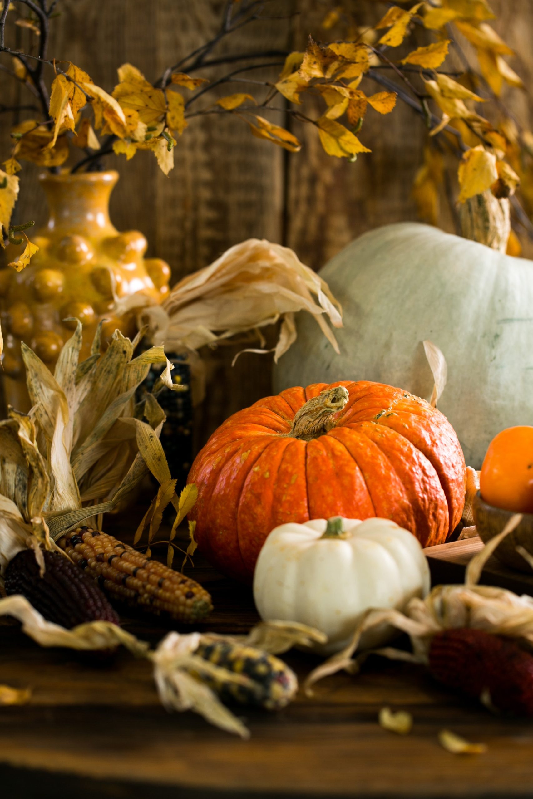 pumpkins, gourds, corn on a cob, corn husk, earthenware, and autumn leaves.