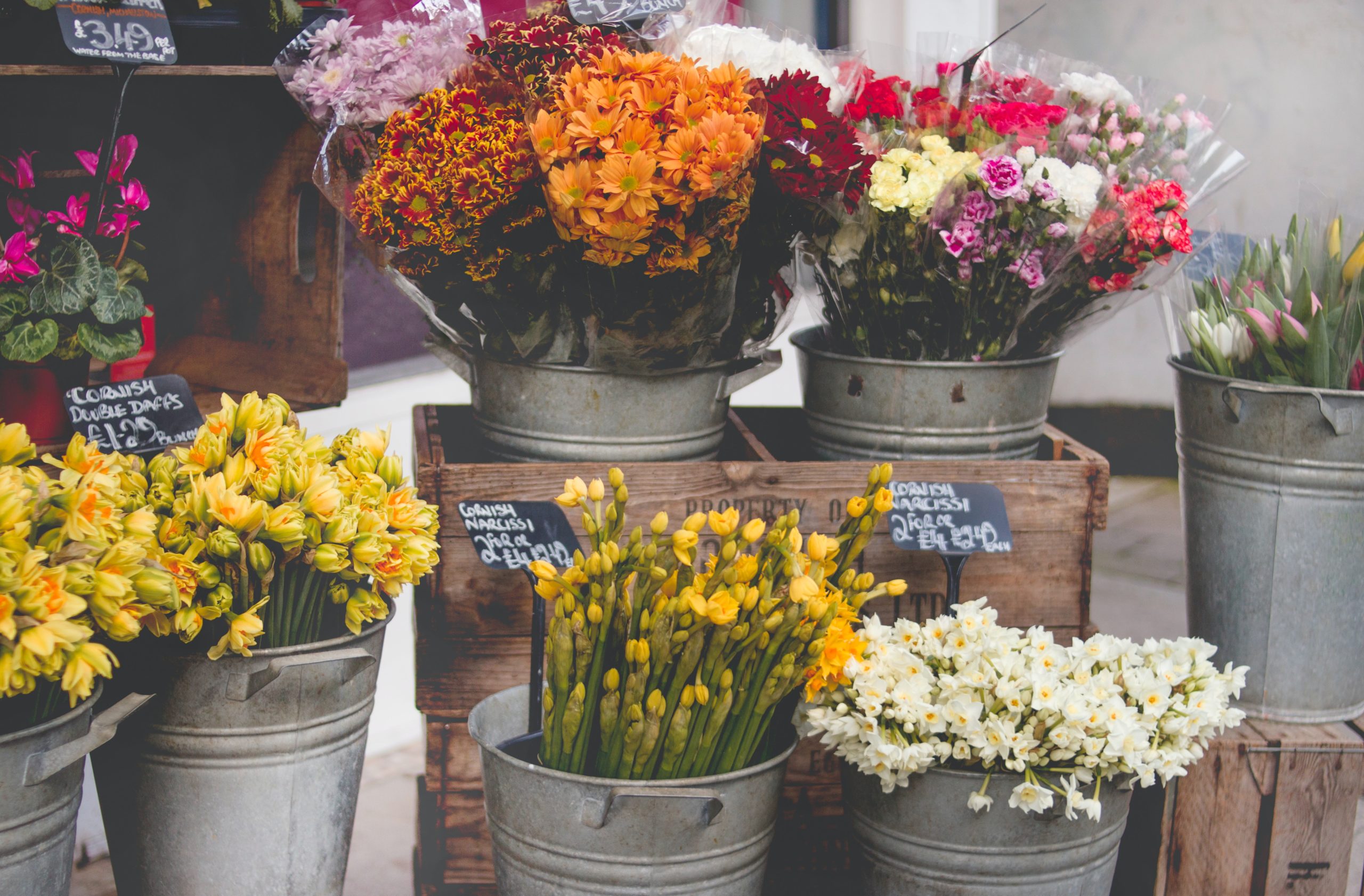 different types of flowers displayed in buckets