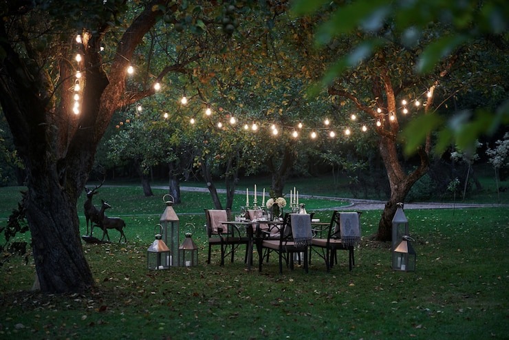 food and table set under tree canopy