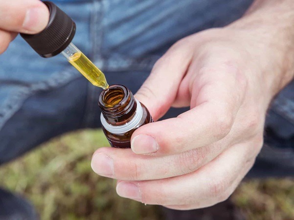 CBD Oil for Dogs Common Extraction Methods and Their Pros and Cons