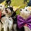 Ideas for Pet Birthday Parties