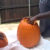 Fall Pumpkin Carving Party
