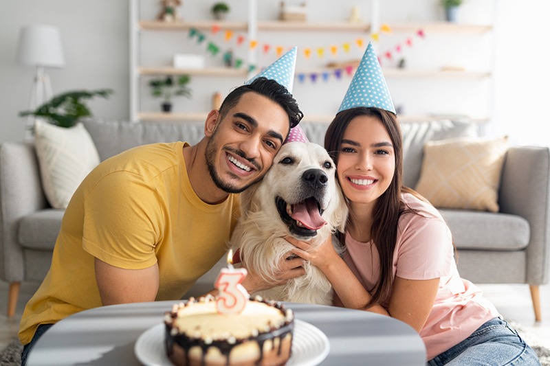 Happy multiracial couple celebrating their dog's birthday with festive cake, wearing party hats at home