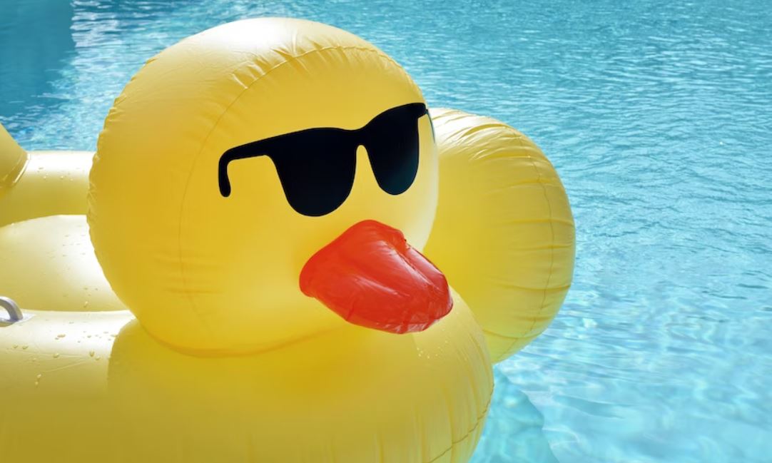 inflatable duck