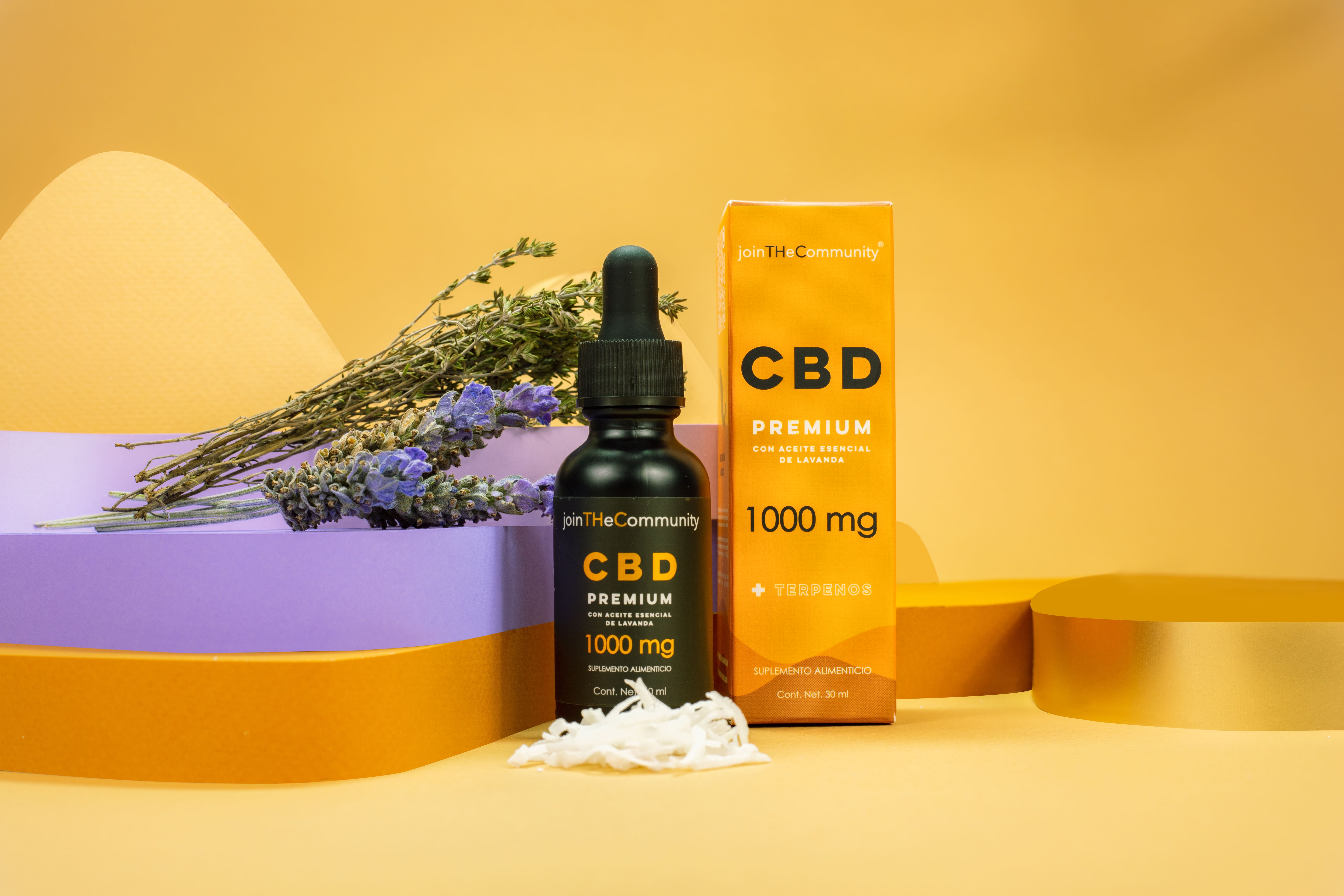 CBD Treats for Dogs Are They Worth It