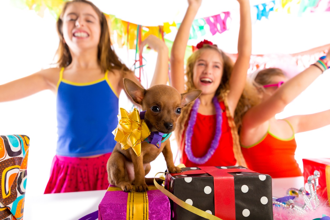 Throwing a Pet Party